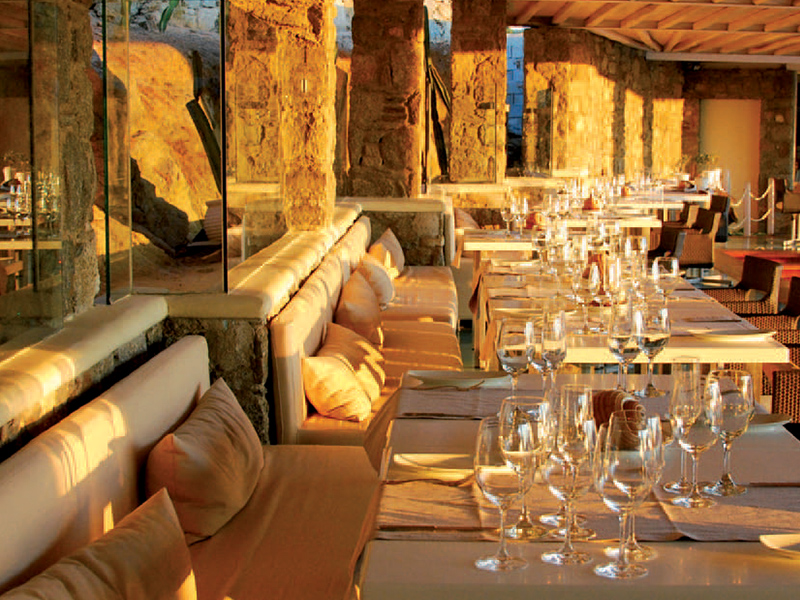 Bill & Coo Gastronomy Project