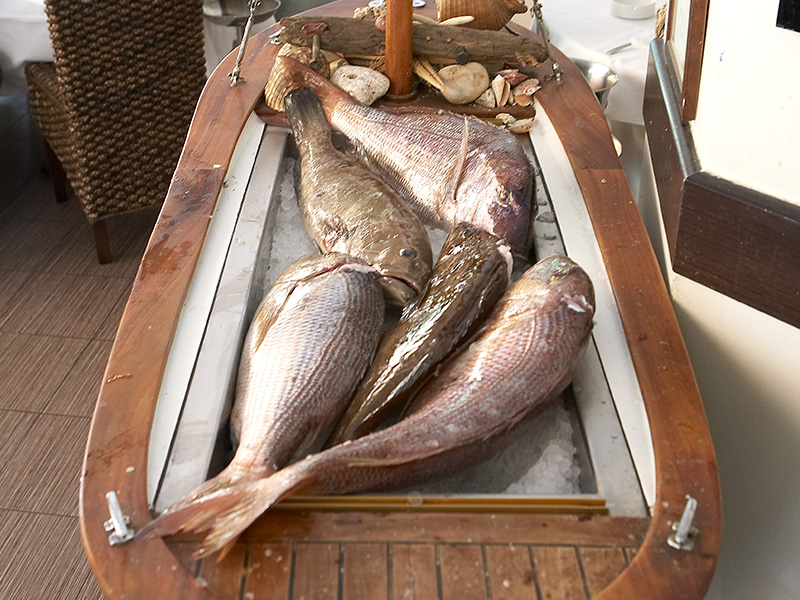 Παπαϊωάννου - Μικρολίμανο