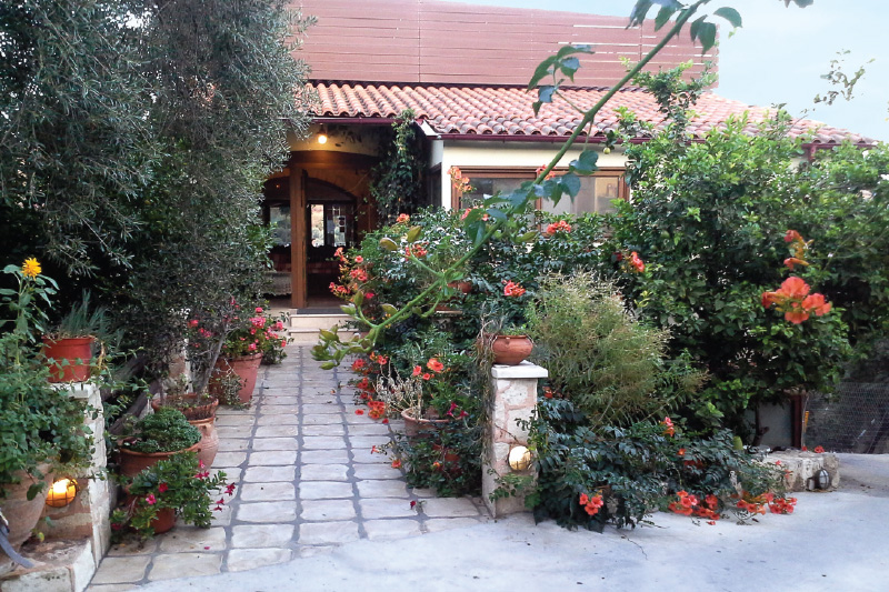 Λεβέντης (Ο)