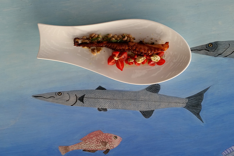 Θαλασσάκι (Το)