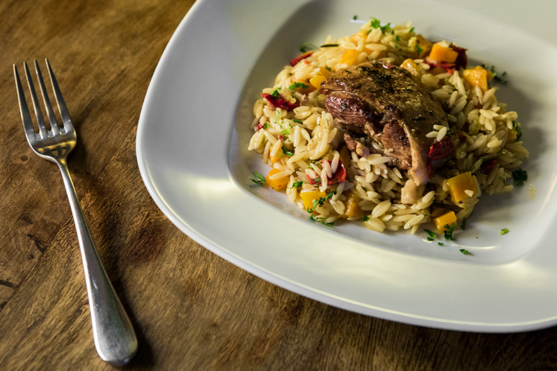 Κοντοσώρος