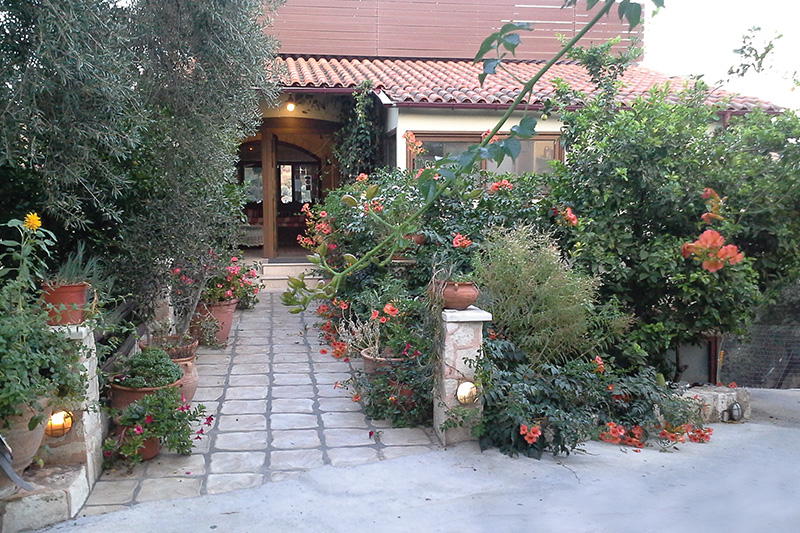 Λεβέντης (Ο)