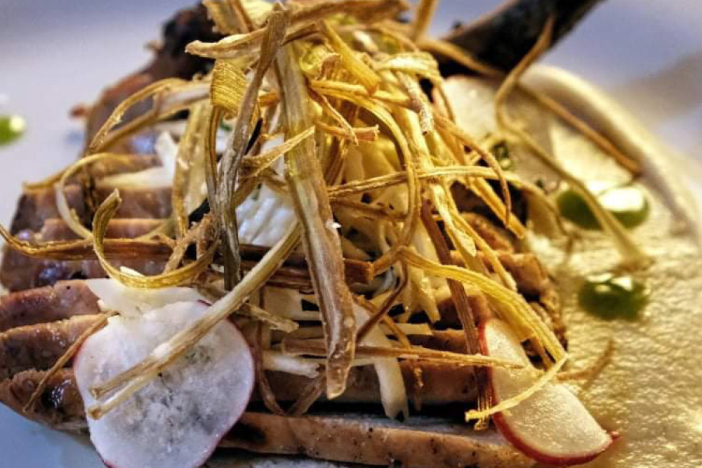 Κοντοσώρος