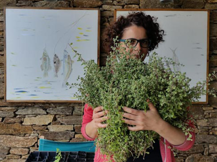 Θαλασσάκι (Το)