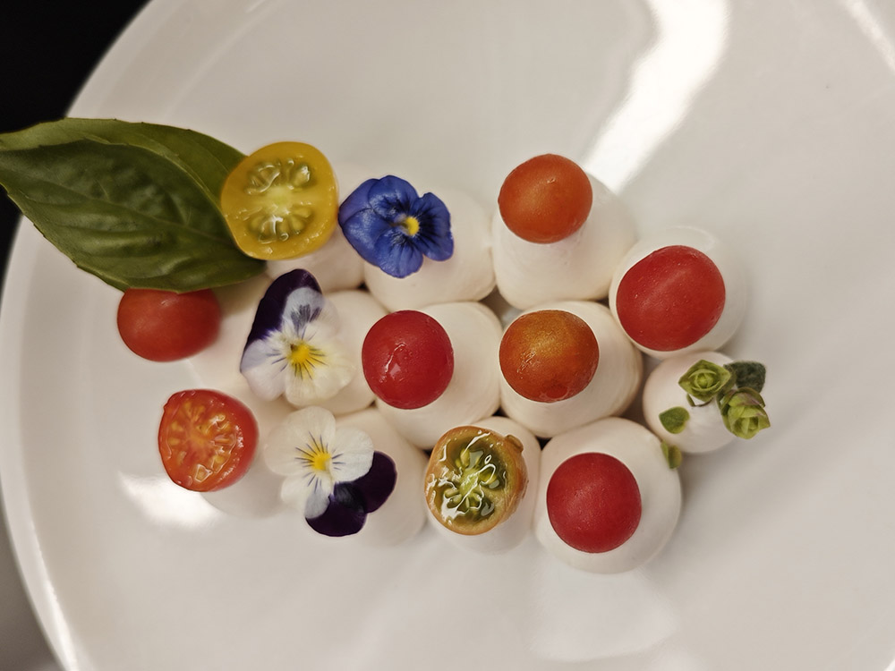 Θαλασσάκι (Το)