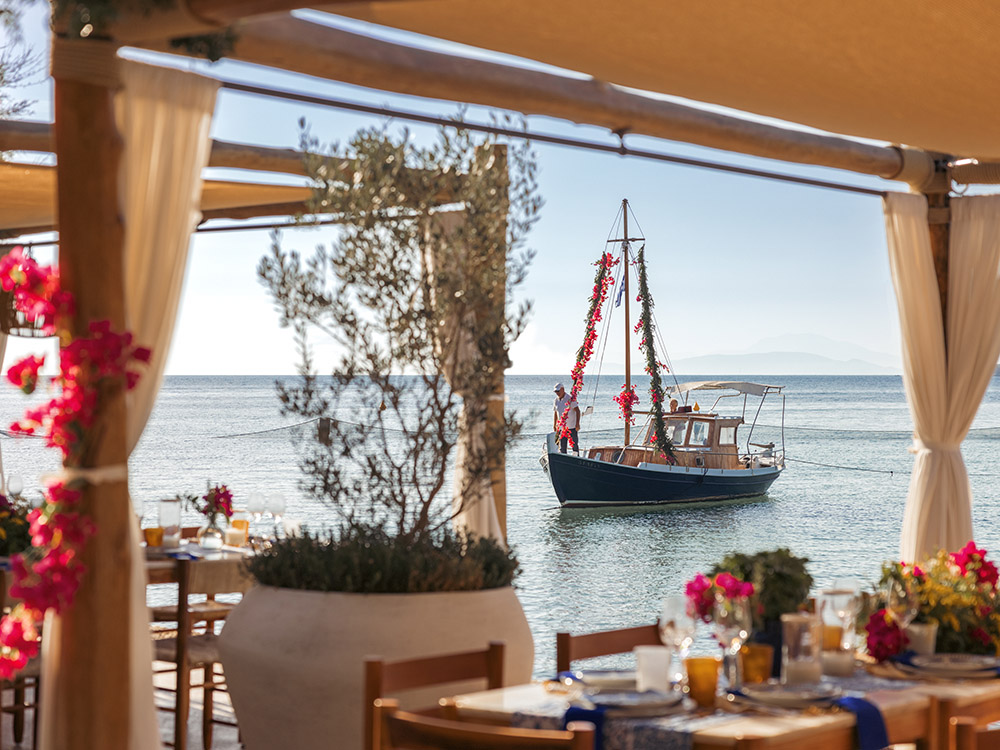 Taverna 37
