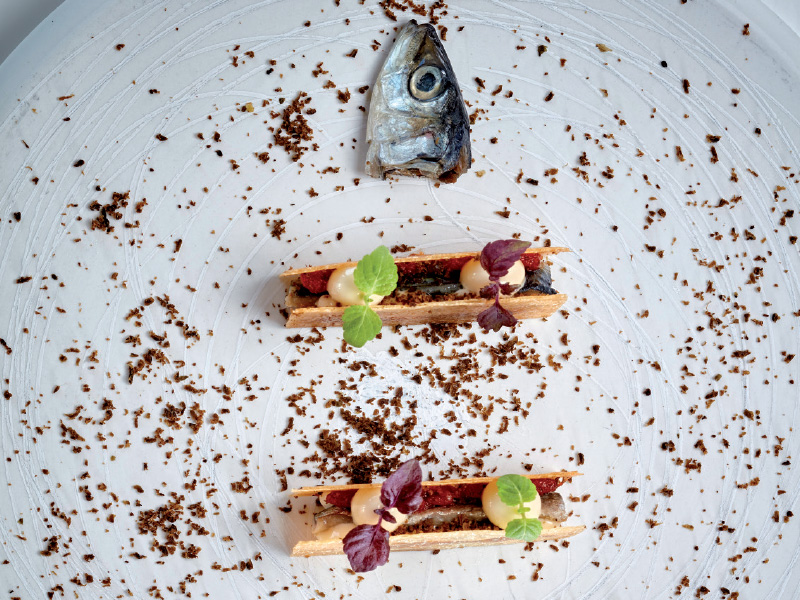 Bill & Coo Gastronomy Project