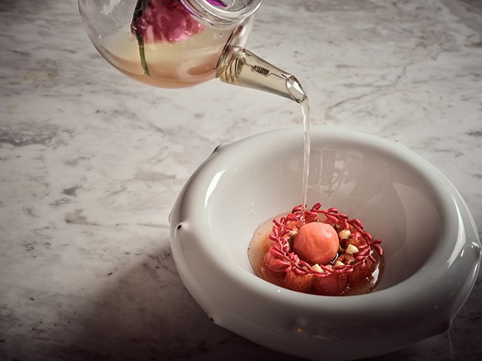 The Squirrel - Χρυσοί Σκούφοι