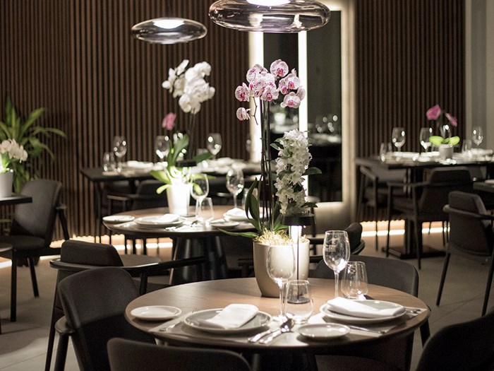 Clochard - Χρυσοί Σκούφοι