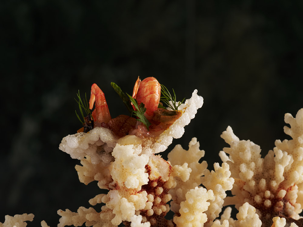 Zillers (The) - Χρυσοί Σκούφοι