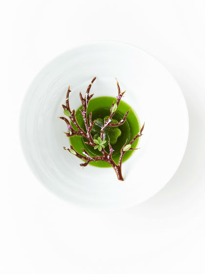 Conceptual gastronomic art σε σπεσιαλιτέ με vegetarian απόχρωση στο «Geranium».