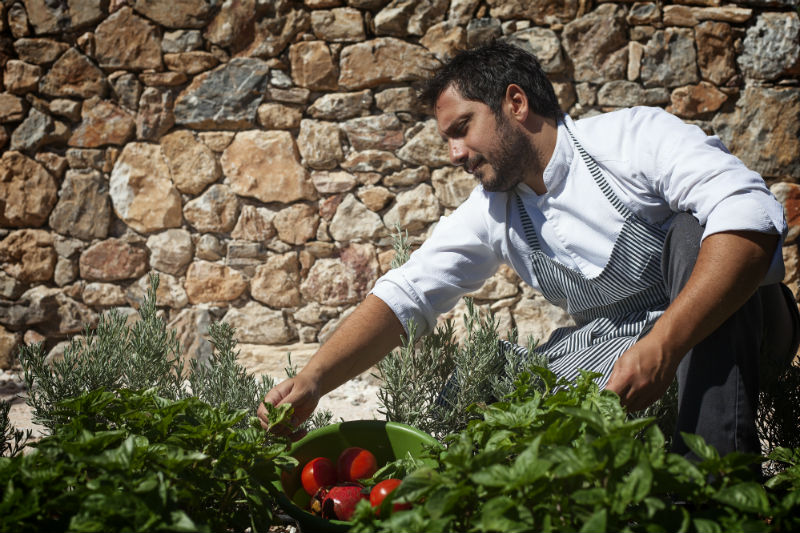 O Παναγιώτης Γιακαλής τρυγάει τη Margi Farm. 